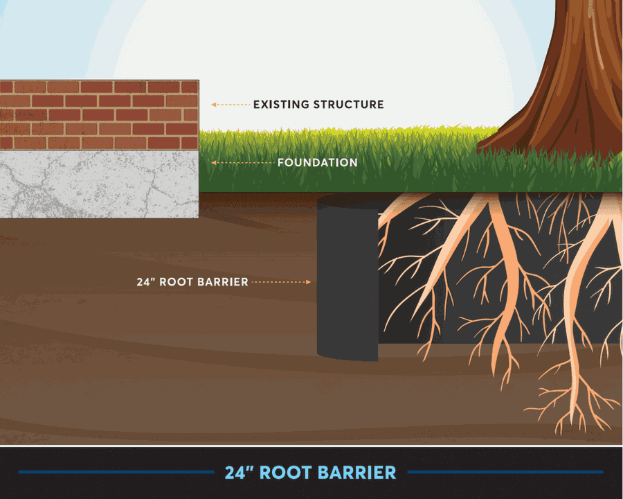 Root barrier installation diagram