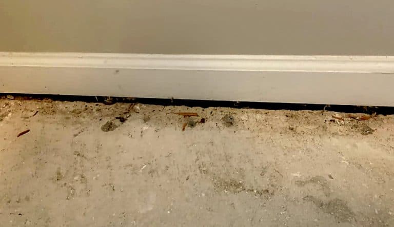 Real foundation damage documented on a Texas home
